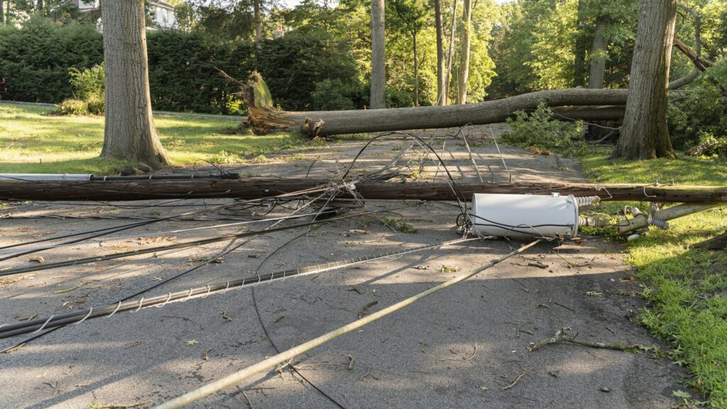 A fallen tree is barricaded the street after a storm. Plan your backup power for an outage.